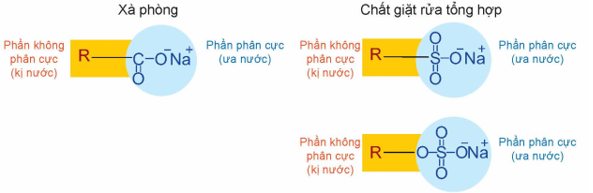 Xà phòng và chất giặt rửa | Chuyên đề dạy thêm Hoá học 12 (chương trình mới) (ảnh 1)