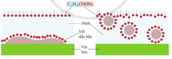 Xà phòng và chất giặt rửa | Chuyên đề dạy thêm Hoá học 12 (chương trình mới) (ảnh 1)