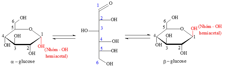 Giới thiệu Carbohydrate - Glucose - Fructose | Chuyên đề dạy thêm Hoá học 12 (chương trình mới) (ảnh 1)