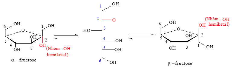 Giới thiệu Carbohydrate - Glucose - Fructose | Chuyên đề dạy thêm Hoá học 12 (chương trình mới) (ảnh 1)