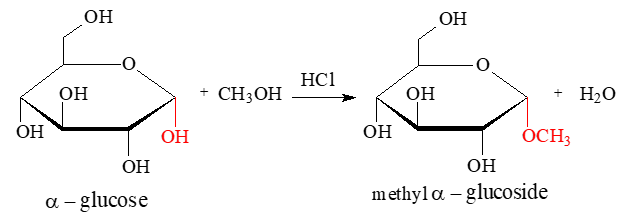 Giới thiệu Carbohydrate - Glucose - Fructose | Chuyên đề dạy thêm Hoá học 12 (chương trình mới) (ảnh 1)