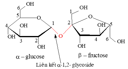 Saccharose và maltose | Chuyên đề dạy thêm Hoá học 12 (chương trình mới) (ảnh 1)