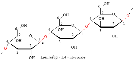 Tinh bột và cellulose | Chuyên đề dạy thêm Hoá học 12 (chương trình mới) (ảnh 1)