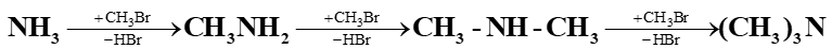 Amine | Chuyên đề dạy thêm Hoá học 12 (chương trình mới) (ảnh 1)