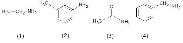 Amine | Chuyên đề dạy thêm Hoá học 12 (chương trình mới) (ảnh 1)