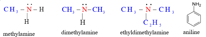 Amine | Chuyên đề dạy thêm Hoá học 12 (chương trình mới) (ảnh 1)