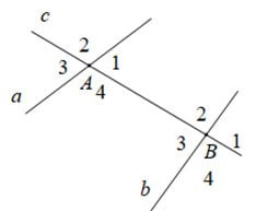 Góc đồng vị là gì? Đặc điểm, dấu hiệu nhận biết và cách chứng minh hai góc đồng vị (ảnh 1)