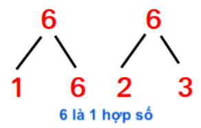 Hợp số là gì? Đặc điểm, phân loại và ứng dụng của hợp số (ảnh 1)