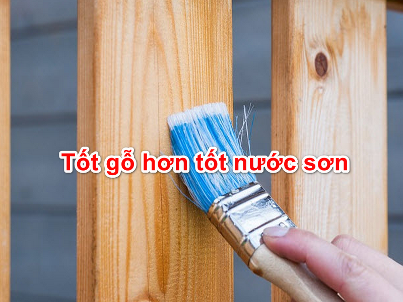 TOP 10 mẫu Bình luận câu tục ngữ Tốt gỗ hơn tốt nước sơn (2025) SIÊU HAY (ảnh 1)