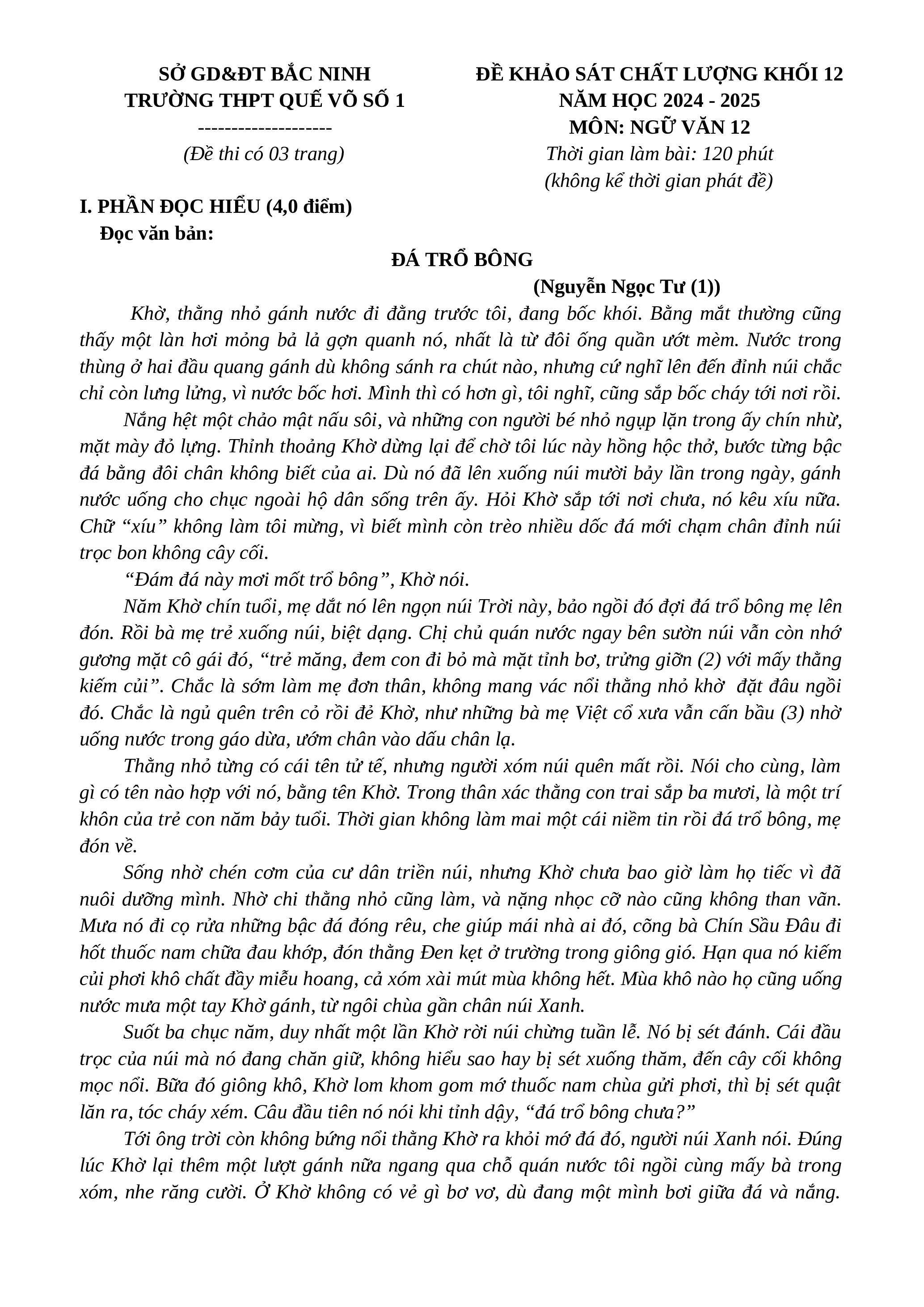 Đề thi thử THPT Quốc gia 2025 môn Ngữ Văn Trường THPT Quế Võ số 1 (Bắc Ninh) có đáp án  (ảnh 1)