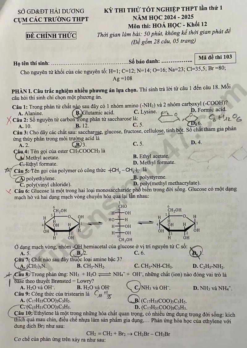 Đề thi thử THPT Quốc gia 2025 môn Hóa học Sở GD&ĐT Hải Dương có đáp án (ảnh 1)
