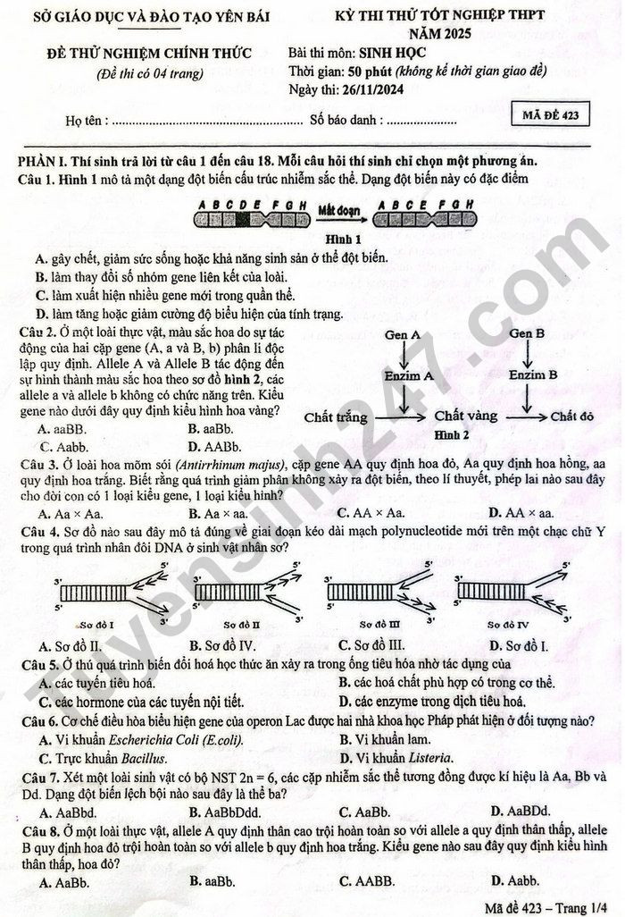 Đề thi thử THPT Quốc gia 2025 môn Sinh học Sở GD&ĐT Yên Bái có đáp án (ảnh 1)