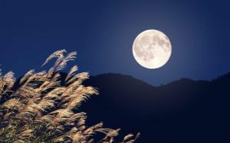 TOP 10 mẫu Phân tích bài thơ Vịnh năm canh (2025) SIÊU HAY (ảnh 1)