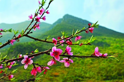 TOP 5 mẫu Tập làm thơ sáu chữ, bảy chữ về thiên nhiên (2025) SIÊU HAY (ảnh 1)
