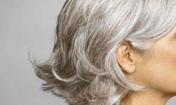 Đọc hiểu Người đàn bà tóc trắng (Nguyễn Quang Thiều) có đáp án (ảnh 1)
