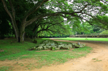 Đọc hiểu Lối mòn xưa (Kiên Duyên) có đáp án (ảnh 1)