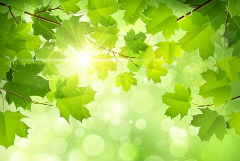TOP 10 mẫu Phân tích bài thơ Ban mai của Nguyễn Quang Thiều (2025) SIÊU HAY (ảnh 1)
