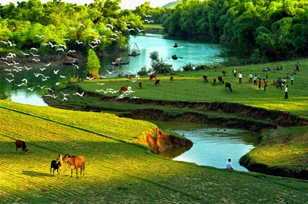 Đọc hiểu Chốn quê (Nguyễn Khuyến) có đáp án (ảnh 1)