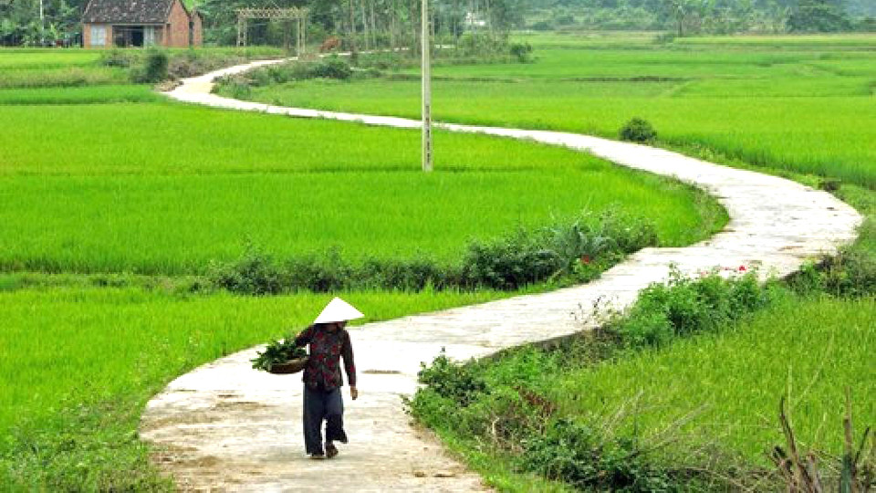 TOP 10 mẫu Phân tích bài thơ Đường về quê mẹ của Đoàn Văn Cừ (2025) SIÊU HAY (ảnh 1)