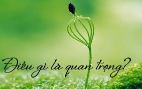 Đọc hiểu Điều gì là quan trọng (có đáp án) (ảnh 1)