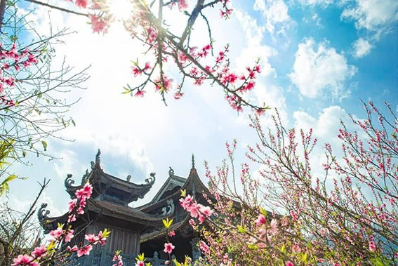 Đọc hiểu Trên miền Bắc mùa xuân (Tố Hữu) có đáp án (ảnh 1)