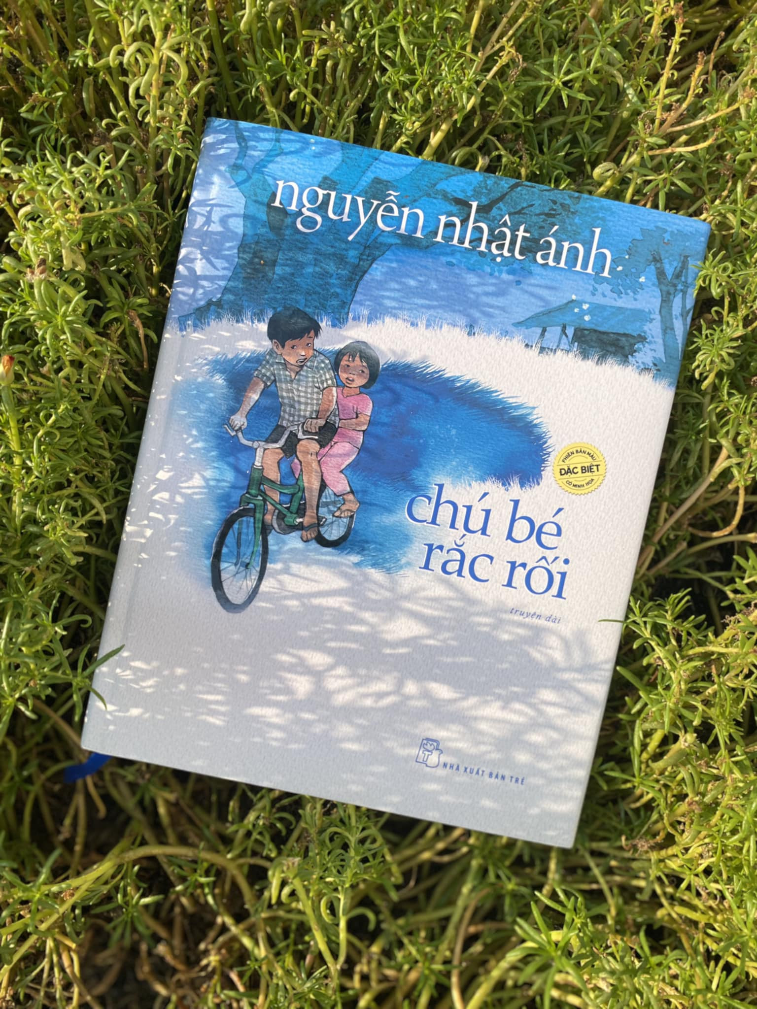 Đọc hiểu Chú bé rắc rối (Nguyễn Nhật Ánh) có đáp án (ảnh 1)