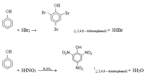 Viết phương trình hóa học của phản ứng (nếu xảy ra) giữa ancol etylic (ảnh 1)