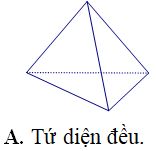 Trắc nghiệm Khái niệm về khối đa diện có đáp án – Toán lớp 12 (ảnh 21)