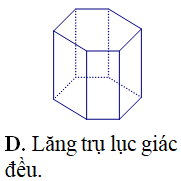 Trắc nghiệm Khái niệm về khối đa diện có đáp án – Toán lớp 12 (ảnh 24)