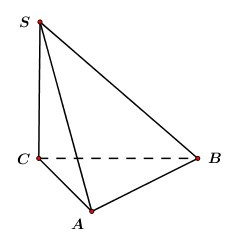 Trắc nghiệm Khái niệm về thể tích của khối đa diện có đáp án - Toán lớp 12 (ảnh 3)