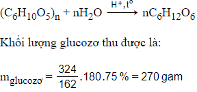 Trắc nghiệm Saccarozơ, tinh bột và xenlulozơ có đáp án - Hóa học lớp 12 (ảnh 1)