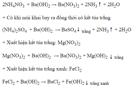 TOP 40 câu Trắc nghiệm Nhận biết một số ion trong dung dịch (có đáp án ...