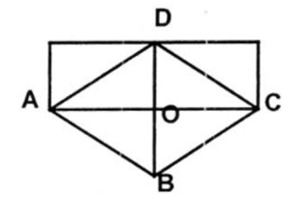 Sử dụng kéo cắt đúng 2 lần, theo đường thẳng, chia một hình chữ nhật (ảnh 1)