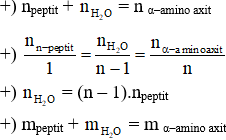 Công thức tính số mol OH- trong bài toán thủy phân peptit hay nhất – Hoá học lớp 12 (ảnh 1)