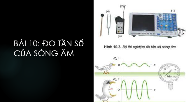 Giáo án điện tử Thực hành: Đo tần số của sóng âm | Bài giảng PPT Vật lí 11 Kết nối tri thức (ảnh 1)
