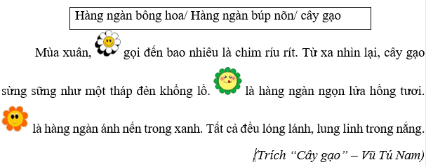 TOP 10 đề thi Giữa Học kì 2 Tiếng Việt lớp 4 (Kết nối tri thức) năm 2024 có đáp án (ảnh 1)