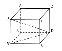 Trắc nghiệm Khái niệm về thể tích của khối đa diện có đáp án - Toán lớp 12 (ảnh 17)