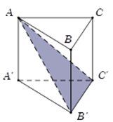 Trắc nghiệm Khái niệm về khối đa diện có đáp án – Toán lớp 12 (ảnh 50)