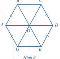 Quan sát lục giác đều ABCDEG ở Hình 8 ta thấy (ảnh 1)