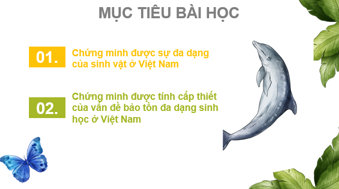Giáo án điện tử Bài 10: Đặc điểm chung của sinh vật và vấn để bảo tồn đa dạng sinh học ở Việt Nam | Bài giảng PPT Địa lí 8 Cánh diều (ảnh 1)