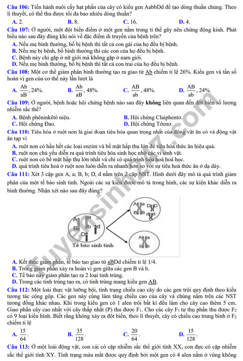 Đề thi thử THPT Quốc gia 2024 môn Sinh học Sở GD&ĐT Hải Dương có đáp án (ảnh 1)