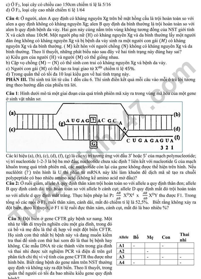 Đề thi thử THPT Quốc gia 2025 môn Sinh học Trường THPT Hà Trung (Thừa Thiên Huế) có đáp án (ảnh 1)