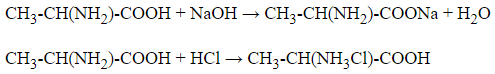 Trắc nghiệm Luyện tập: Cấu tạo và tính chất của amin, amino axit và protein có đáp án - Hóa học lớp 12 (ảnh 1)