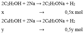 Cho hỗn hợp gồm etanol và phenol tác dụng với natri (dư) thu được 3,36 lít (ảnh 1)