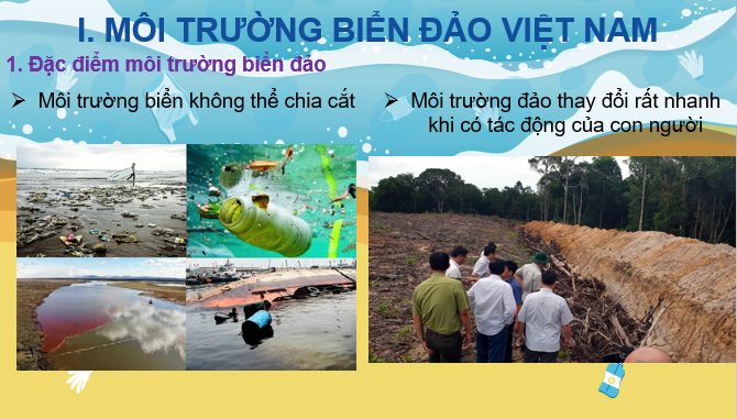Giáo án điện tử Bài 12: Môi trường và tài nguyên biển đảo Việt Nam | Bài giảng PPT Địa lí 8 Cánh diều (ảnh 1)