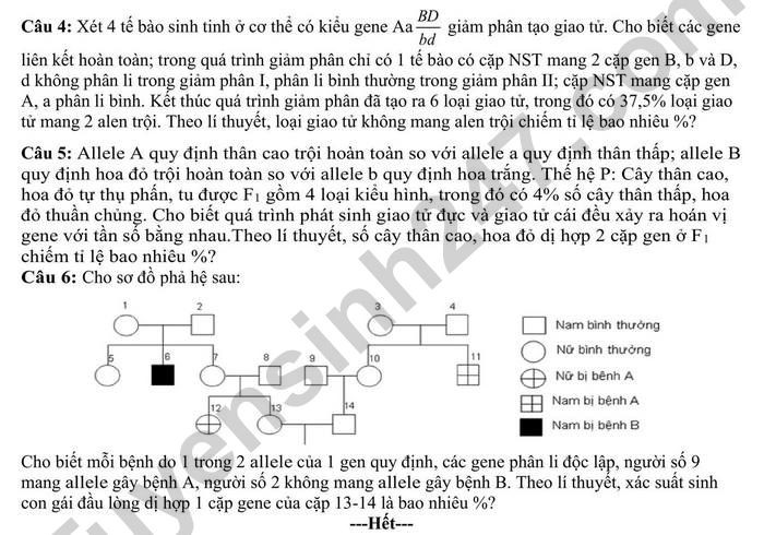 Đề thi thử THPT Quốc gia 2025 môn Sinh học Trường THPT Hà Trung (Thừa Thiên Huế) có đáp án (ảnh 1)