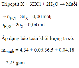 Trắc nghiệm Peptit và protein có đáp án - Hóa học lớp 12 (ảnh 1)