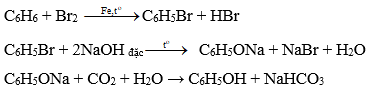 Hoàn thành các dãy chuyển hóa sau bằng các phương trình hóa học (ảnh 1)