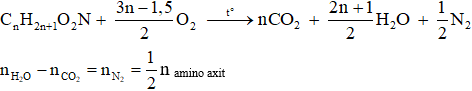 Công thức bài toán đốt cháy amino axit hay nhất – Hoá học lớp 12 (ảnh 1)