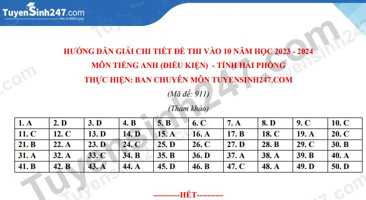 Đề thi vào 10 môn Tiếng Anh (điều kiện) THPT Chuyên Trần Phú - Hải Phòng (2023 - 2024) mới nhất kèm đáp án (ảnh 1)